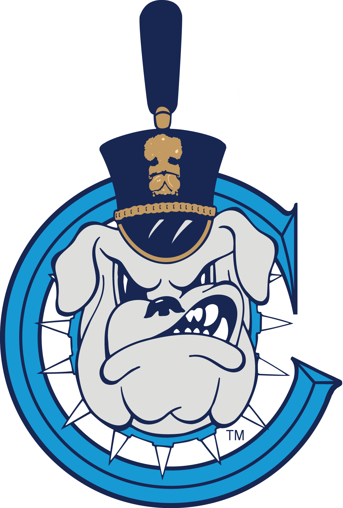 The Citadel Bulldogs 0-Pres Secondary Logo t shirts DIY iron ons